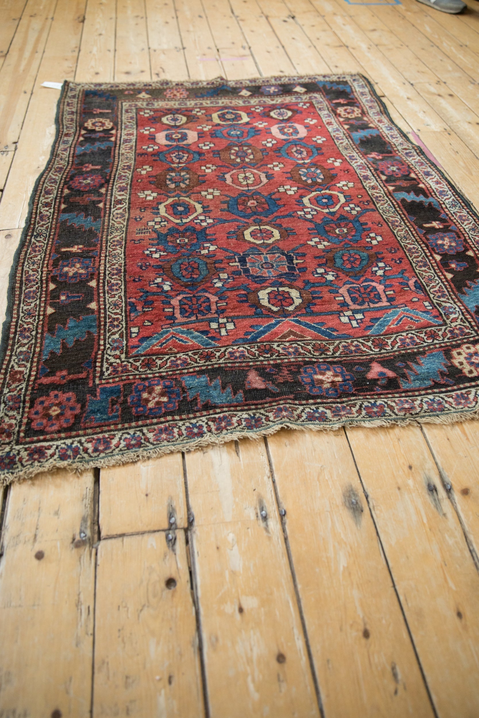 4x5.5 Antique Kurdish Bijar Rug // ONH Item 12010 Image 6