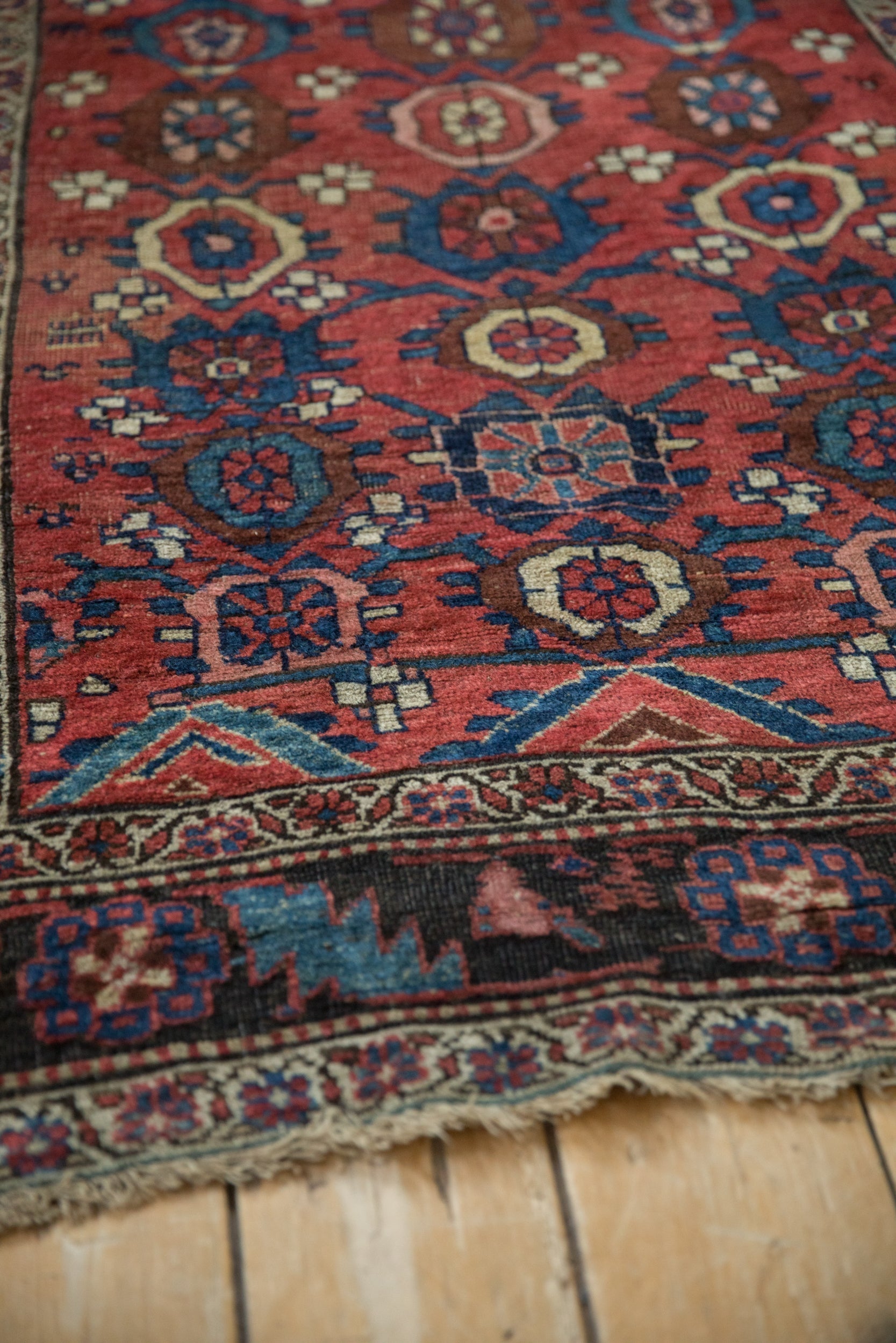 4x5.5 Antique Kurdish Bijar Rug // ONH Item 12010 Image 7