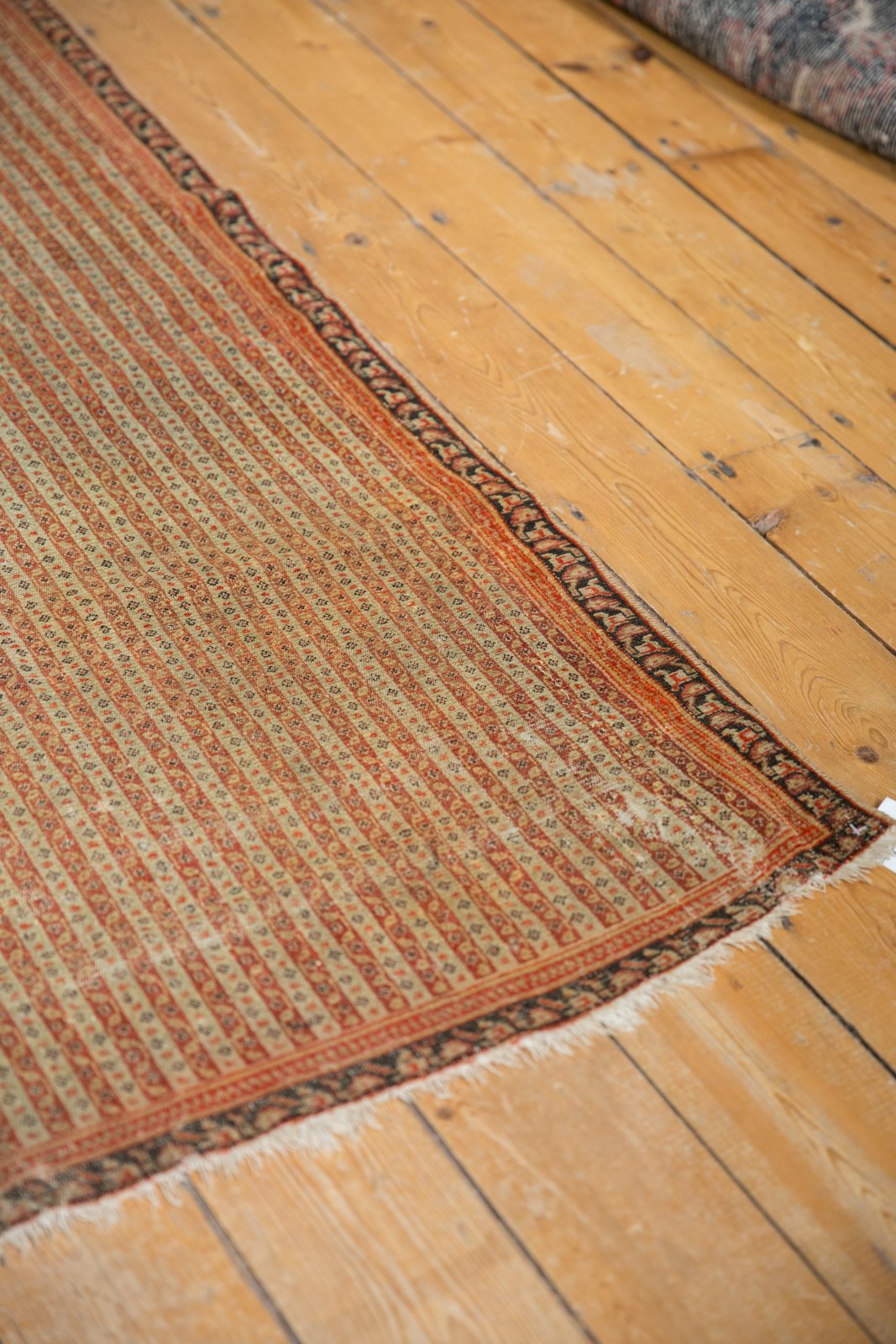 4x6 Antique Fine Senneh Rug // ONH Item 6536 Image 9